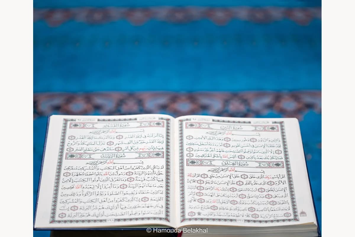 جمعية الثقافة والتواصل في فرايبورغ 2