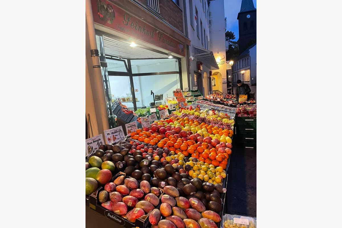 فينيكست باراديس 2